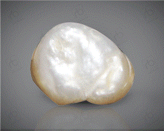  Pearl (Real) 1.69CTS-31036